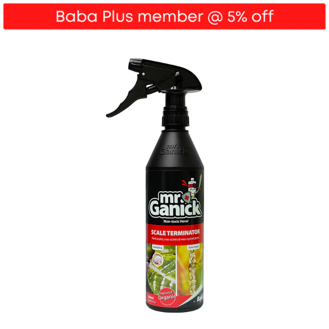 Baba Mr Ganick Scale Terminator Ready To Use (500ml)